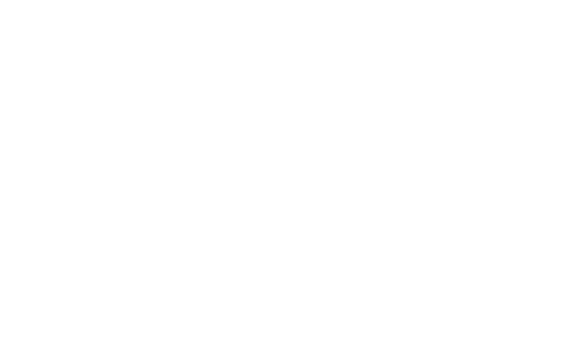 Logo STELX